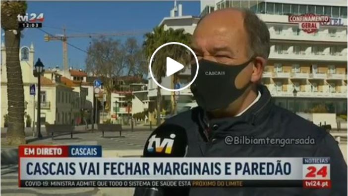 APANHADOS A PASSEAR TRELA … SEM CÃO (VÍDEO)